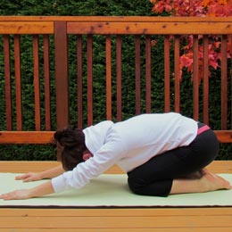 Tortoise Pose. Imagine that the curve of your back is the domed shell of a tortoise.