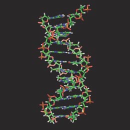 A digital diagram of a DNA chain.