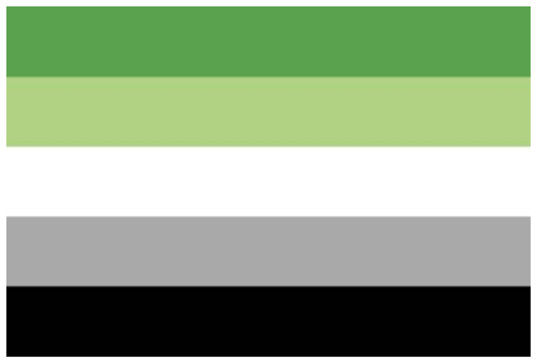 Five horizontal bars form the aromantic pride flag. From top to bottom, they are green, light green, white, grey, and black.