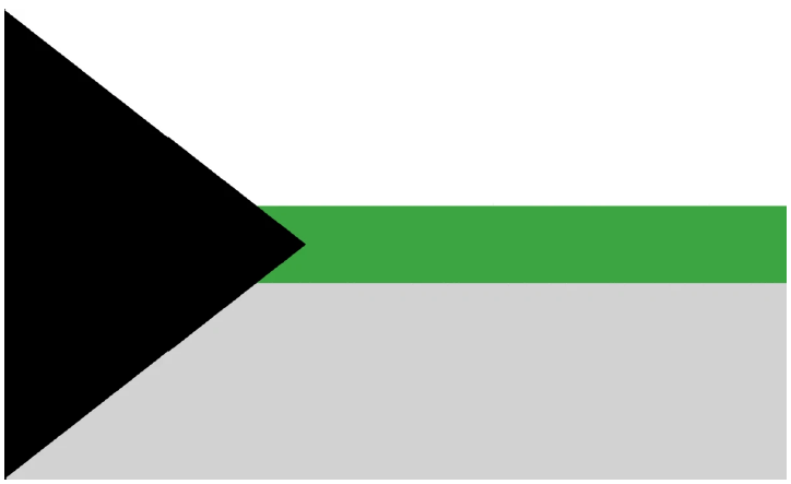 A black triangle sits on the left side of the demiromantic pride flag. The flag is split in half horizontally by a green bar, with the top as white an