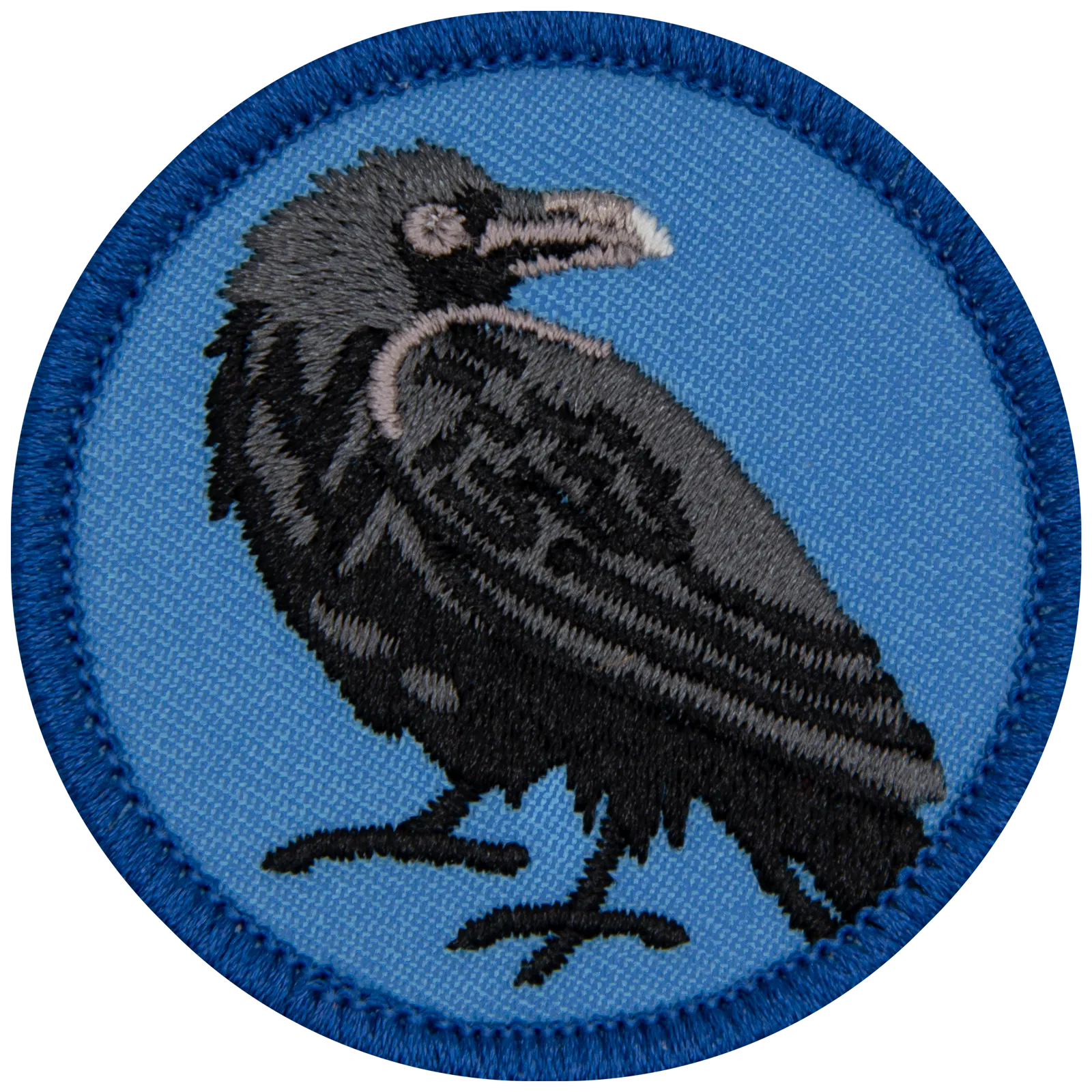 A raven on a blue circle. 