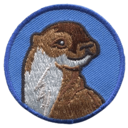 An otter facing towards the right on a blue background.