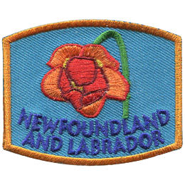 es2505 provincial flower newfoundland labrador removebg preview.png